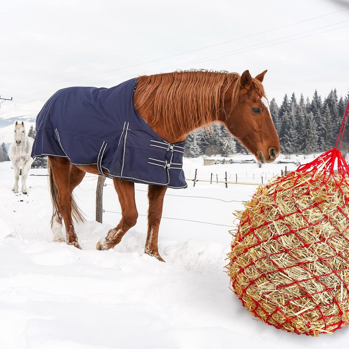 Fabbay 4 Pcs Slow Feed Hay Net Feeder Hay Bag for Horses Slow Feeder 40 Inch Length with 2 Inch Holes Hanging Horse Feed Net for Goat Cattle Equine Stalls Barn Supplies(Red)