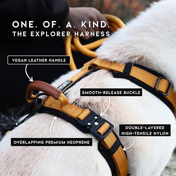 MADE TO ROAM Premium Explorer Harness - Y-Shaped Dog Harness with Adjustable Durable Nylon, Soft Padding, Metal Buckles and Leather Handle for Small, Medium, Large Dogs (Alaska Daybreak, Size 2)