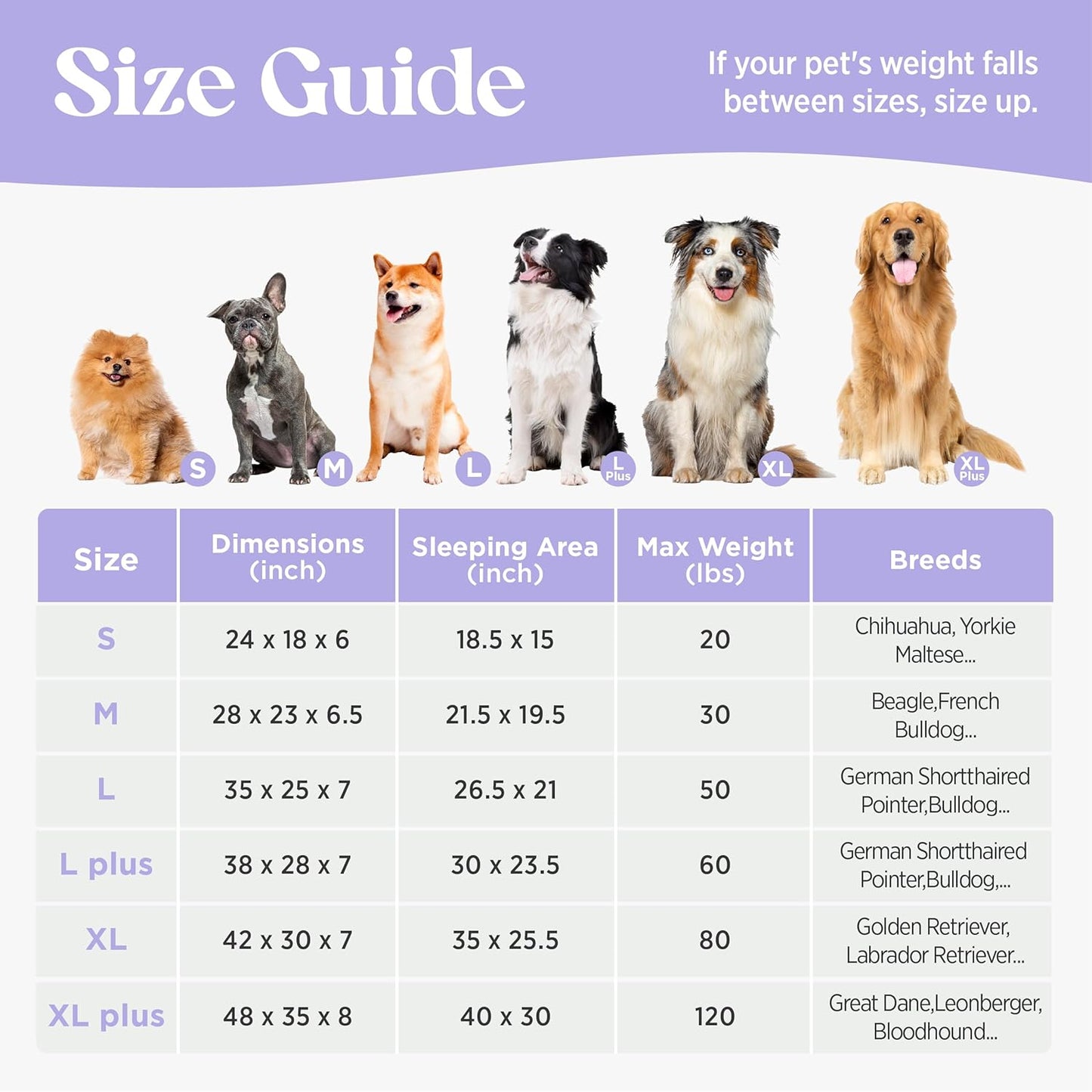 LE SURE Cute Dog Bed for Small Dogs, Orthopedic Waterproof Small Pet Beds with Sides, Non-Slip Bottom and Egg-Crate Foam Puppy Couch Sofa with Washable Removable Cover, Grey