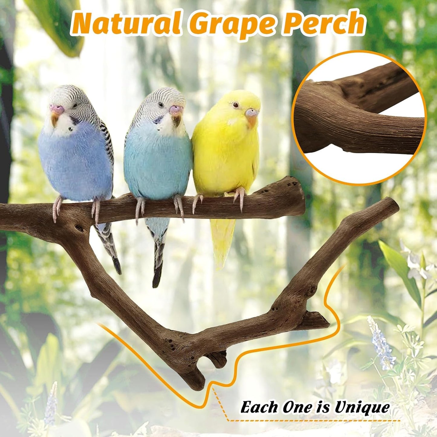 6Pcs Natural Wooden Bird Perch Grape Stick Claw Grinding Fork Bird Perching Branch Claw Grinding Stick Parrot Standing Platform Parrot Cage Chewing Accessories for Parrots Lovebirds Parakeets