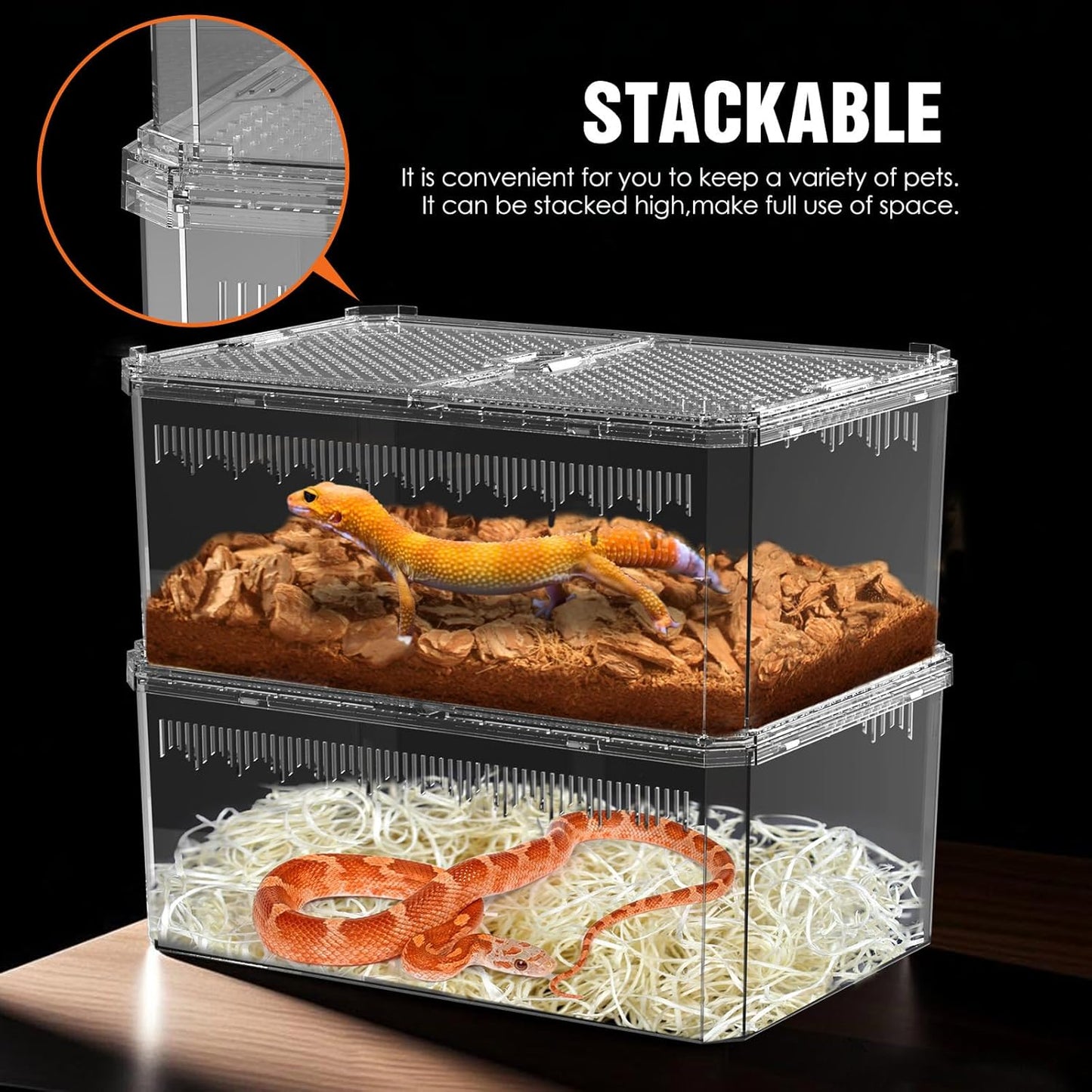 Breathable and Secure Reptile Tank with high Transparency - Ideal Container House for Hermit Crab, Tarantula Enclosure, Turtle Tank or Jumping Spider Habitat (L)
