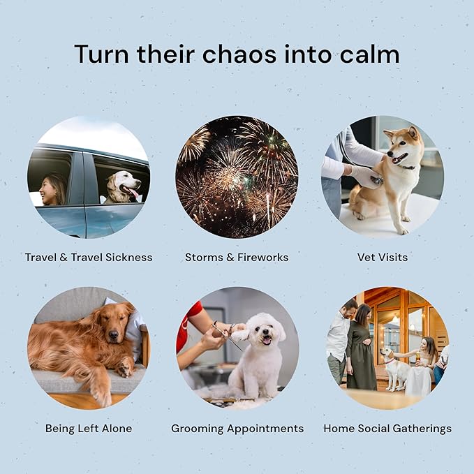 MalsiPree Calming Chews for Dogs - 145 pcs Salmon - Helps Regulate Mood - Anxiety Relief Treats - No Sedative Effect - Freeze Dried - with Passion Flower & Melatonin