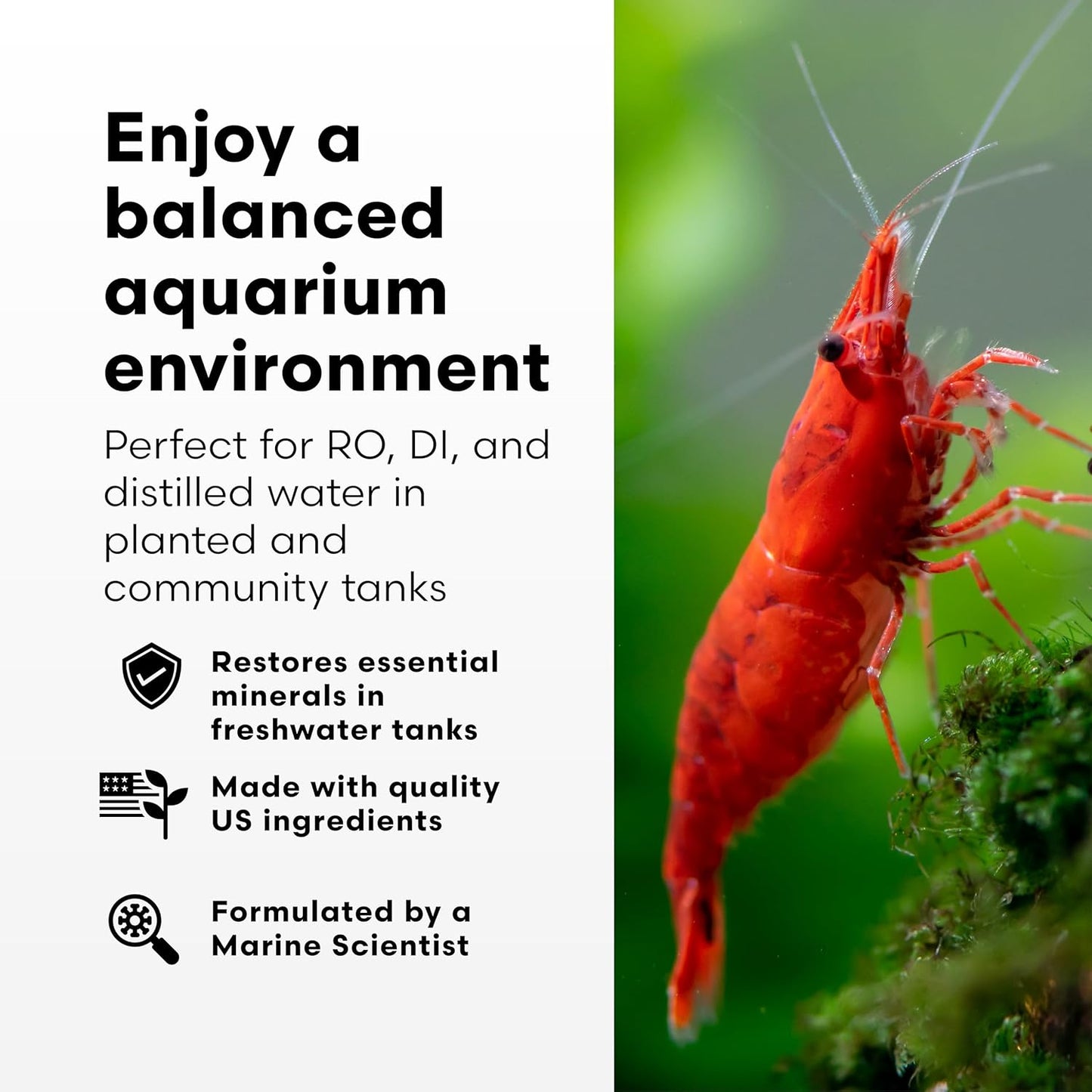 Brightwell Aquatics Remineralīz-P – Restores GH & TDS for Freshwater Aquariums, Replenishes Essential Minerals for RO & Distilled Water, Supports Fish & Plant Health, 250g