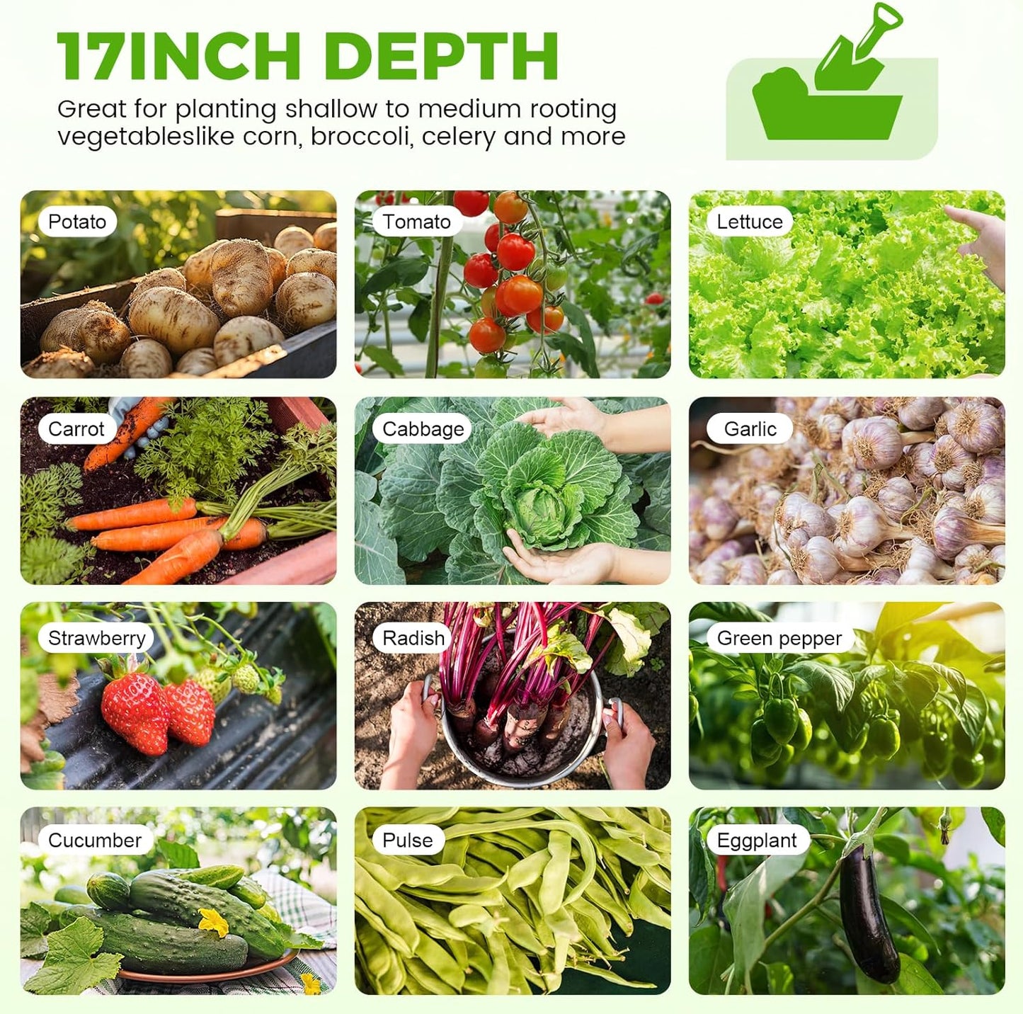 Land Guard 18“ Tall 4×2ft Galvanized Raised Garden Bed Kit, Galvanized Planter Garden Boxes Outdoor, Oval Large Metal Raised Garden Bed for Vegetables……… (Lime Green, 4×2×1.5ft)