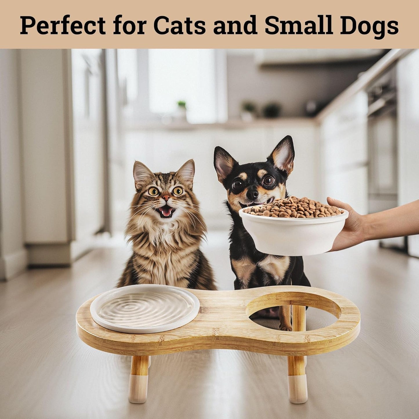 Elevated Cat Bowls - Set of 2 Ceramic Pet Food Bowls with Anti-Slip Bamboo Stand - 15 Degree Titled - Raised Dog Bowl for Small Dogs - Raised Cat Bowl Stand - Pet Feeding Station for Cats & Small Dogs