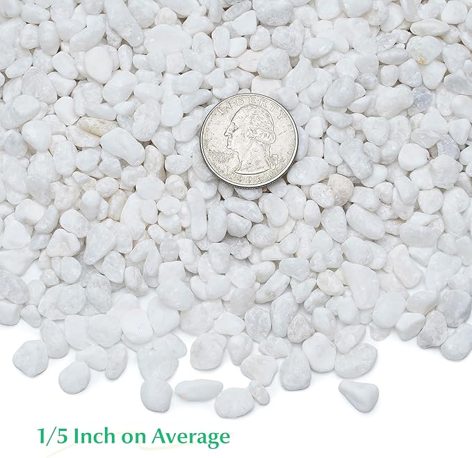 Mr. Fireglass 2lbs White Pebbles,1/5" Natural Decorative River Rocks Aquarium Gravel for Indoor Plants, Vases, Succulents and Outdoor Garden Landscaping