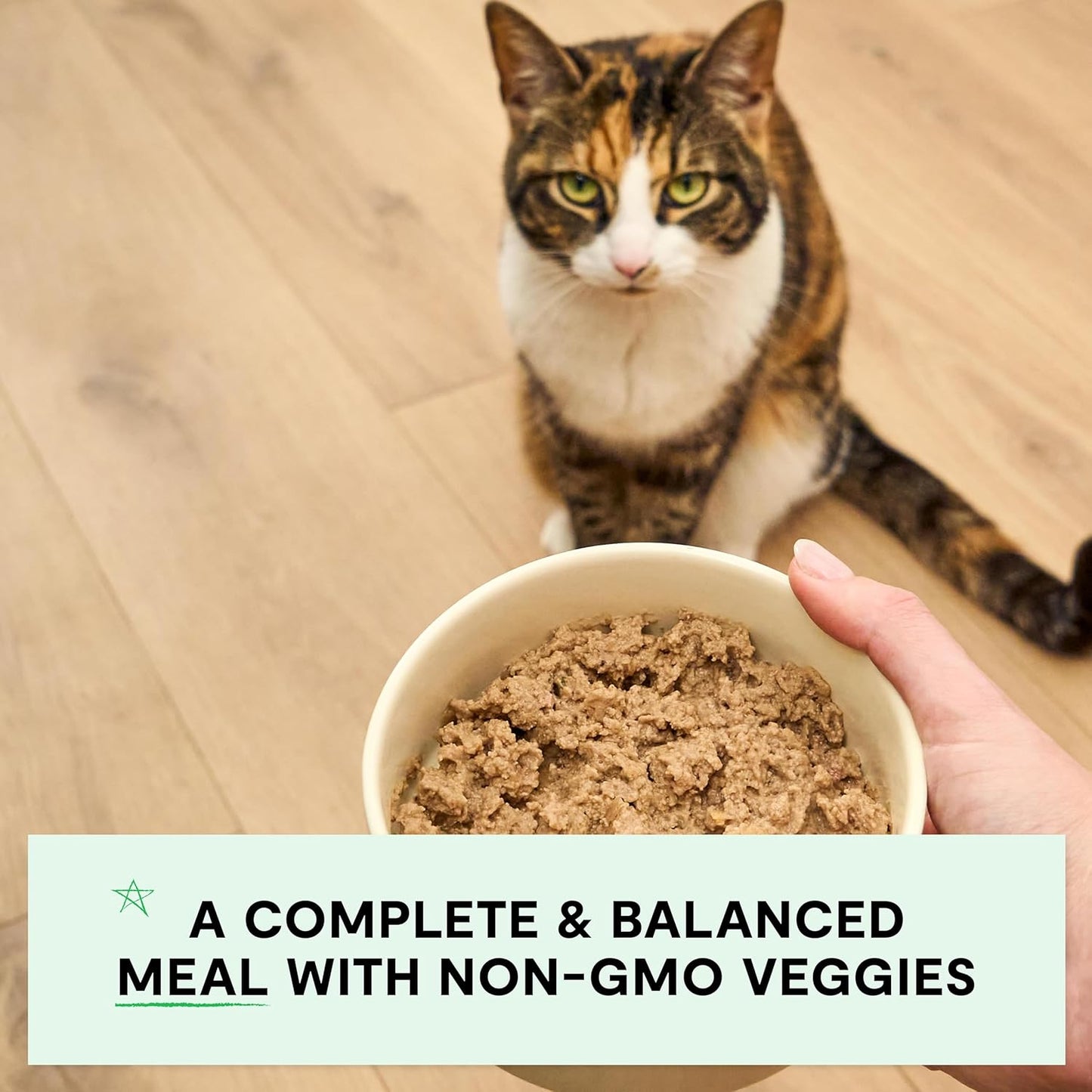 Open Farm Canned Cat Food, Paté for Complete & Balanced Nutrition, Grain-Free and Legume-Free Wet Cat Food, Chicken & Beef Recipe, 2.8oz Cans (Case of 18)