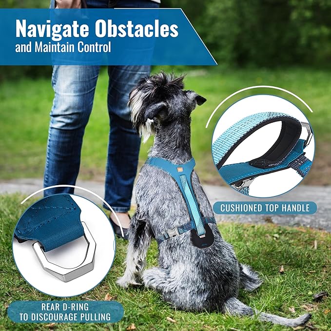 No-Pull Dog Harness with Handle - Escape Proof, Anti-Pulling, Grip Control, Multi-Angle Reflective for Safe Walks & Training, Easy On & Off, Metal Buckle–Pet Harness, Medium/Large Dogs- N H4- Blue