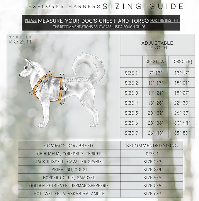 MADE TO ROAM Premium Explorer Harness - Y-Shaped Dog Harness with Adjustable Durable Nylon, Soft Padding, Metal Buckles and Leather Handle for Small, Medium, Large Dogs (Carolina Blooms, Size 6)