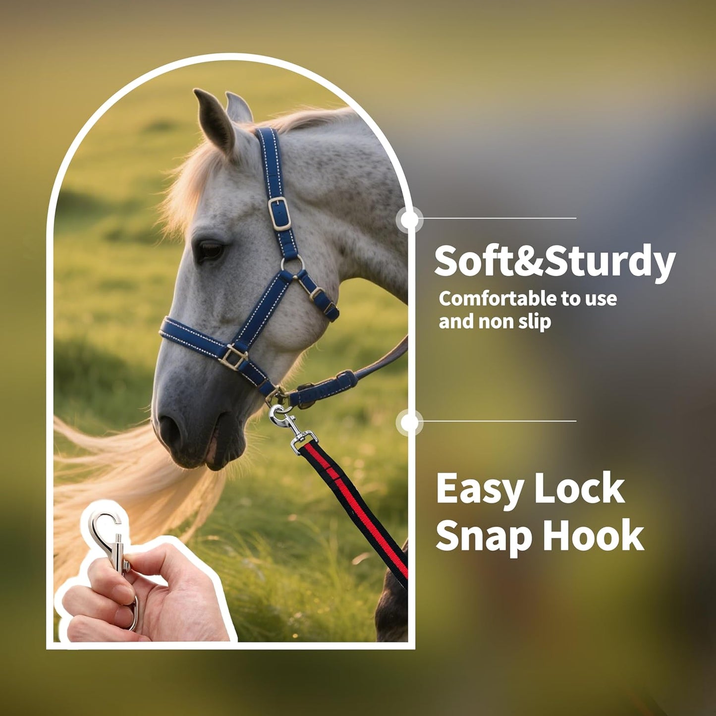 Lunge Line for Horse, Premium Equine Lunge Line with Swivel Bolt Snap for Accurate Equestrian Training, Competition, and Daily Use, 26 ft (8 Meters)