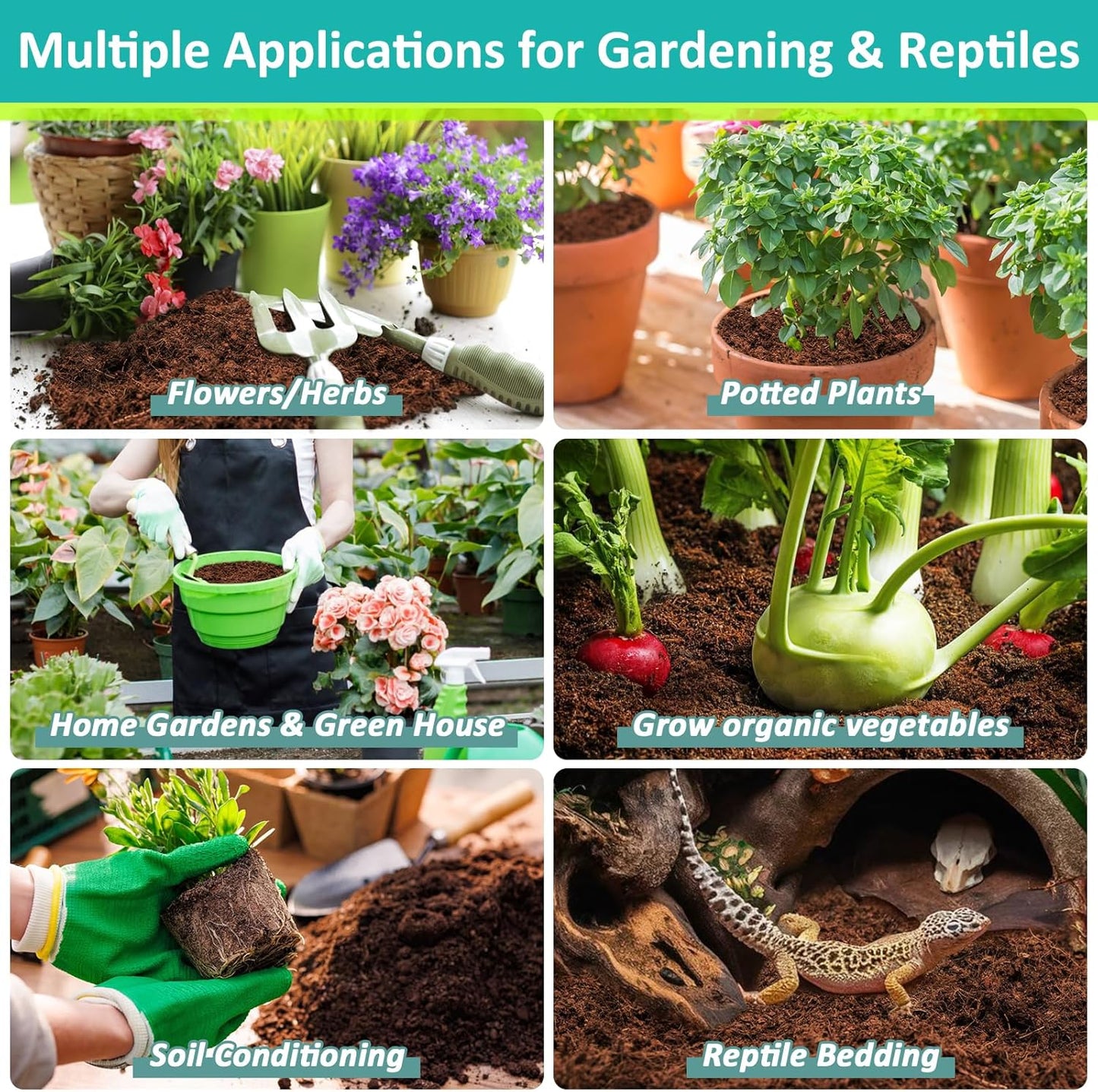 Legigo 10 Pack Premium Coco Coir Brick for Plants- 100% Organic Compressed Coconut Coir Bricks Starting Mix, Coco Coir Fiber Coconut Husk for Planting, Gardening, Potting Soil Substrate, Herbs