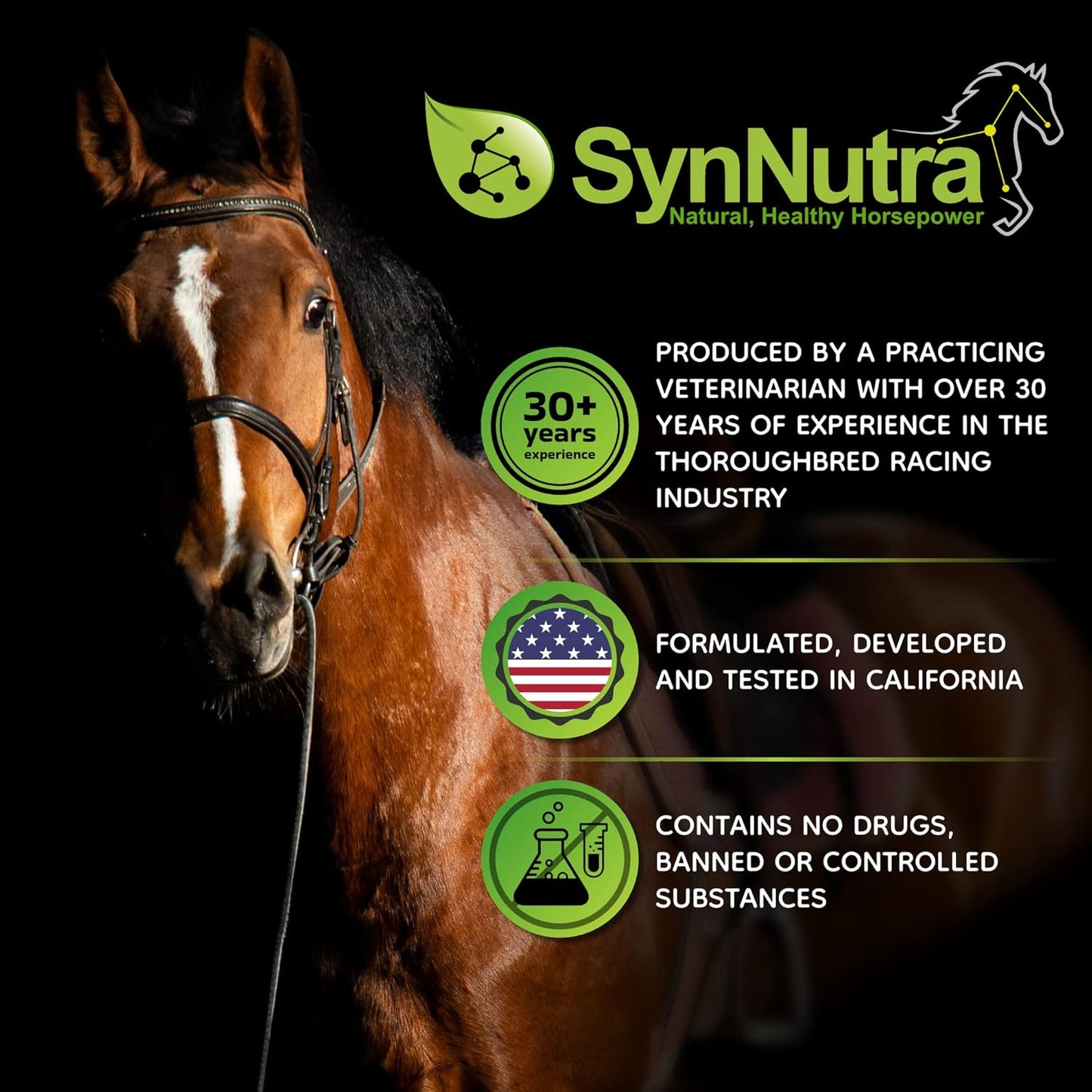 SynChill Oral Horse Calming Gel, 100% Natural & Nutritional Supplement, Lab Proven Results, Designed for Peak Focus & Performance, Approved by Veterinarians, FEI Compliant & Made in USA - 12-Pack