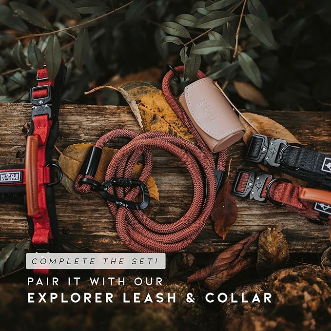 MADE TO ROAM Premium Explorer Harness - Y-Shaped Dog Harness with Adjustable Durable Nylon, Soft Padding, Metal Buckles and Leather Handle for Small, Medium, Large Dogs (Carolina Blooms, Size 5)