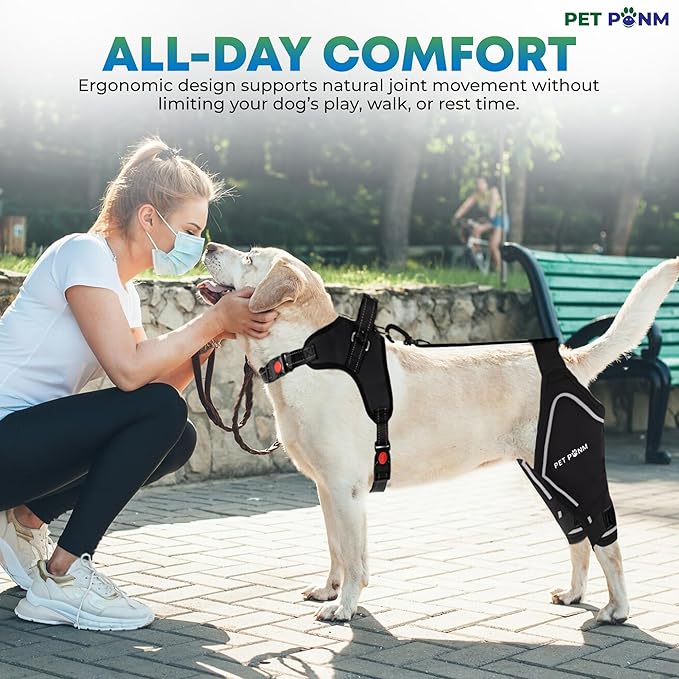 Petpanm- Adjustable Dog Knee Brace- Right Hind Leg with Integreted Harness- Premium Support for Torn ACL, Sprains & Strains Recovery, Enhances Mobility, Comfortable Neoprene- (Small)