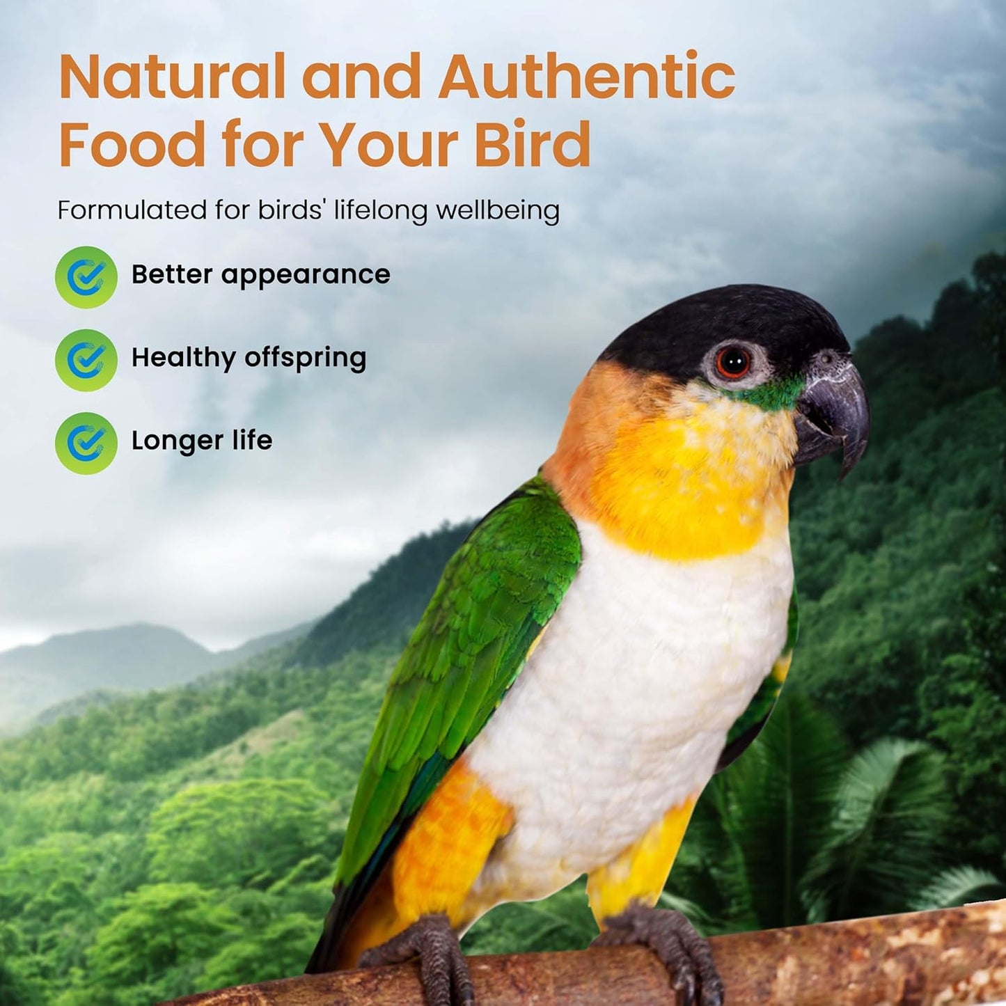 Harrison's Bird Foods High Potency Fine Certified Organic Non GMO Formula Bird Food 1lb
