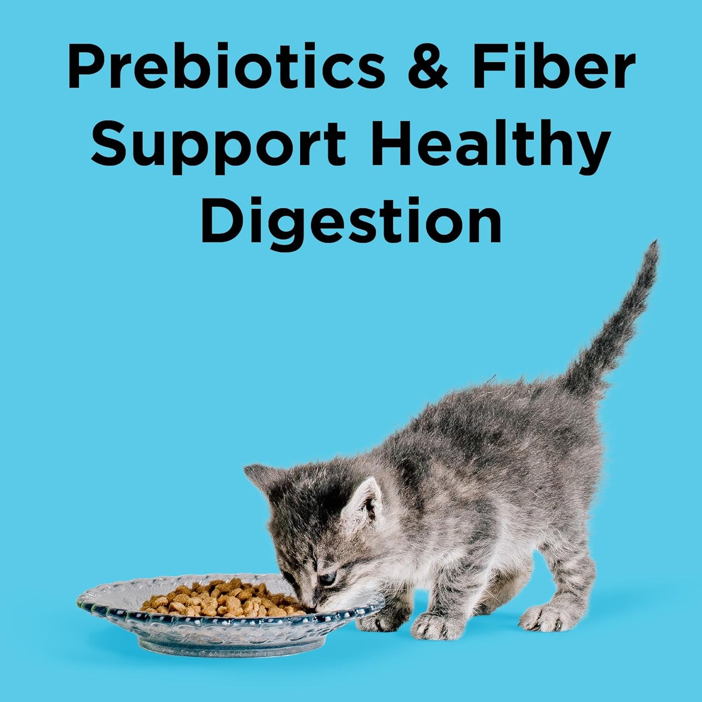 BIXBI Liberty Dry Food Digestive Cat Health Chicken Recipe, 3lb