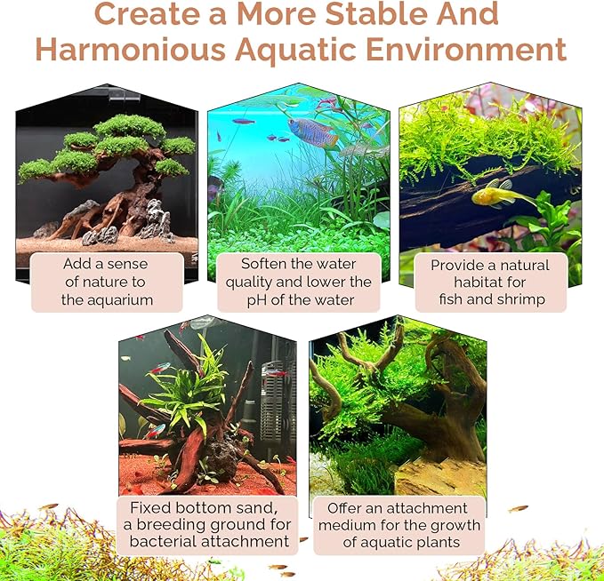 Natural Driftwood for Aquarium 12"-16" Large Aquarium Coral Wood Decor | Single Piece for Fish Tank Landscaping, Reptile Terrarium Climbing Branch, Freshwater Aquatic Wood Aquascaping