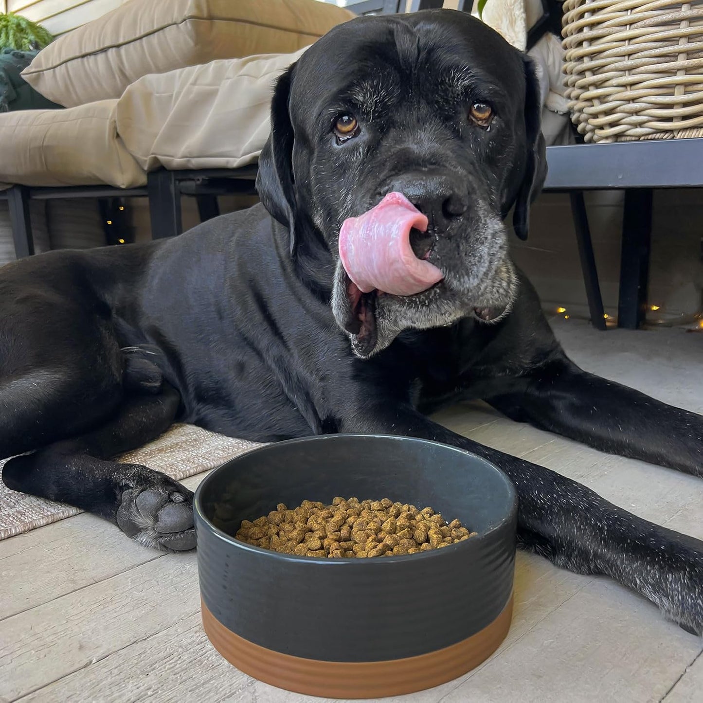 Mora Ceramic Pet Bowl - Large Food/Water Dish for Large Dogs, Cats, Great Dane, Mastiff - 50oz or 8 Cups - Basic Bowls - Charcoal