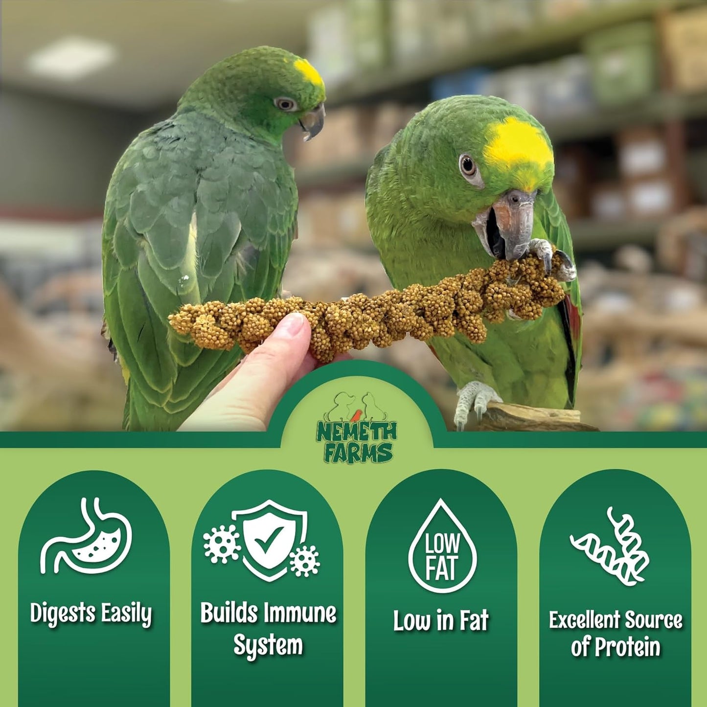 Premium Non-GMO Spray Millet Treat | Hand-Harvested Bird Snack | 100% Edible Tops | Sun-Dried Supplement for Parakeets, Cockatiels, Finches, Lovebirds, Canaries