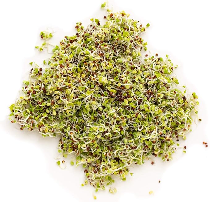 Handy Pantry Organic Birdseed - 1 Lb - Sprouting Bird Seed Mix for Small, Medium & Large Birds- Feed for Songbirds, Parakeets, Parrots, etc