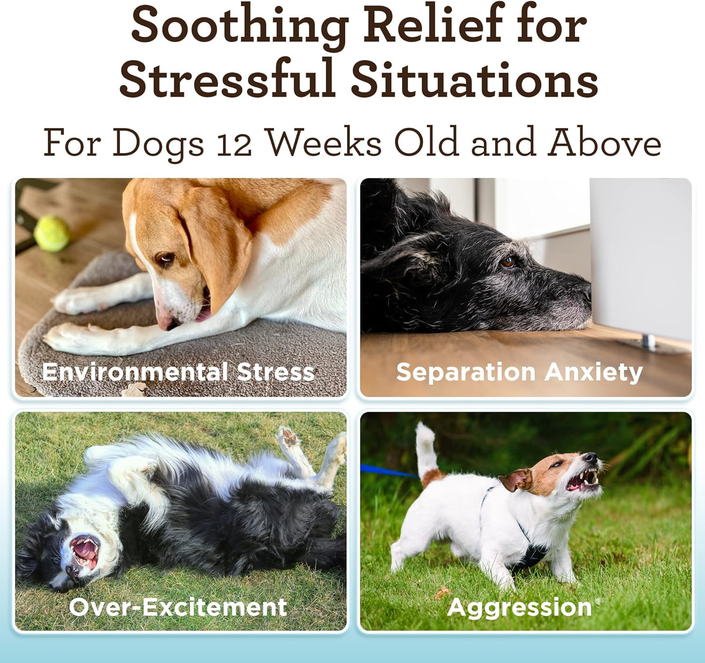 VetPro Advanced Calming Aid, Dog Anxiety Treats, Enhanced with Organic Hemp Seed Oil, Veterinarian Formulated Dog Calming Treats