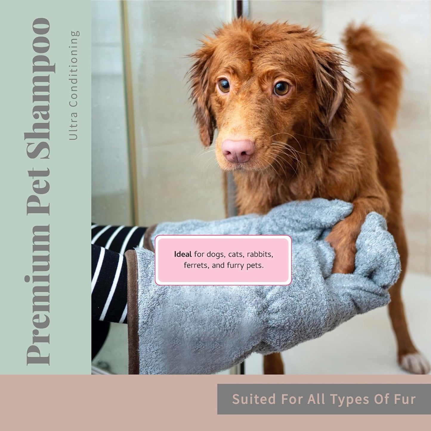 Begley's No Rinse Waterless Pet Shampoo, Bathless Cleaning, Deodorizing, and Odor Removal for a Shiny, Fresh Smelling Coat - Effective for Dogs, Puppies, and Cats - Refill, Fresh Oatmeal Mango