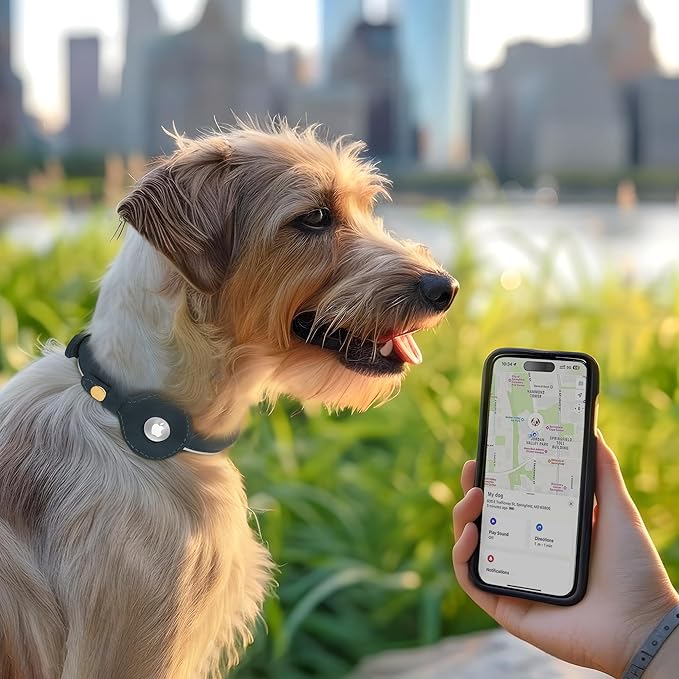 OOPSDOGGY Rolled Leather Dog Collar with Airtag Holder - Reflective Round Airtag Dog Collar - Soft Tracking Pet Collar for Small Dogs Puppy Cats Kitten (Black, XXL, 20"-24")