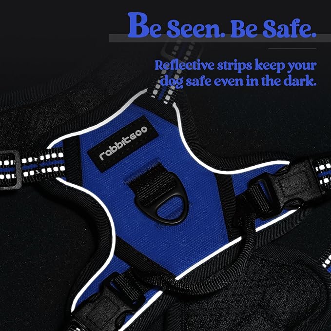rabbitgoo Dog Harness No Pull with 2 Leash Clips, Adjustable Soft Padded, Reflective Oxford No Choke Pet Vest with Easy Control Handle for Puppy, Dazzling Blue,XS