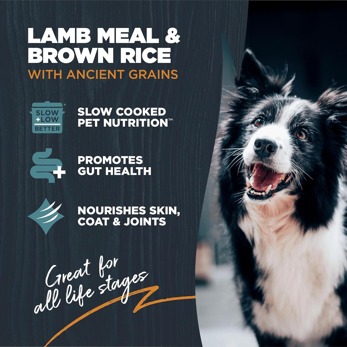Blackwood Sensitive Skin & Stomach Dry Dog Food, Lamb Meal & Brown Rice with Ancient Grains, 4.5 Pound Bag with Prebiotics & Probiotics to Promote Gut Health