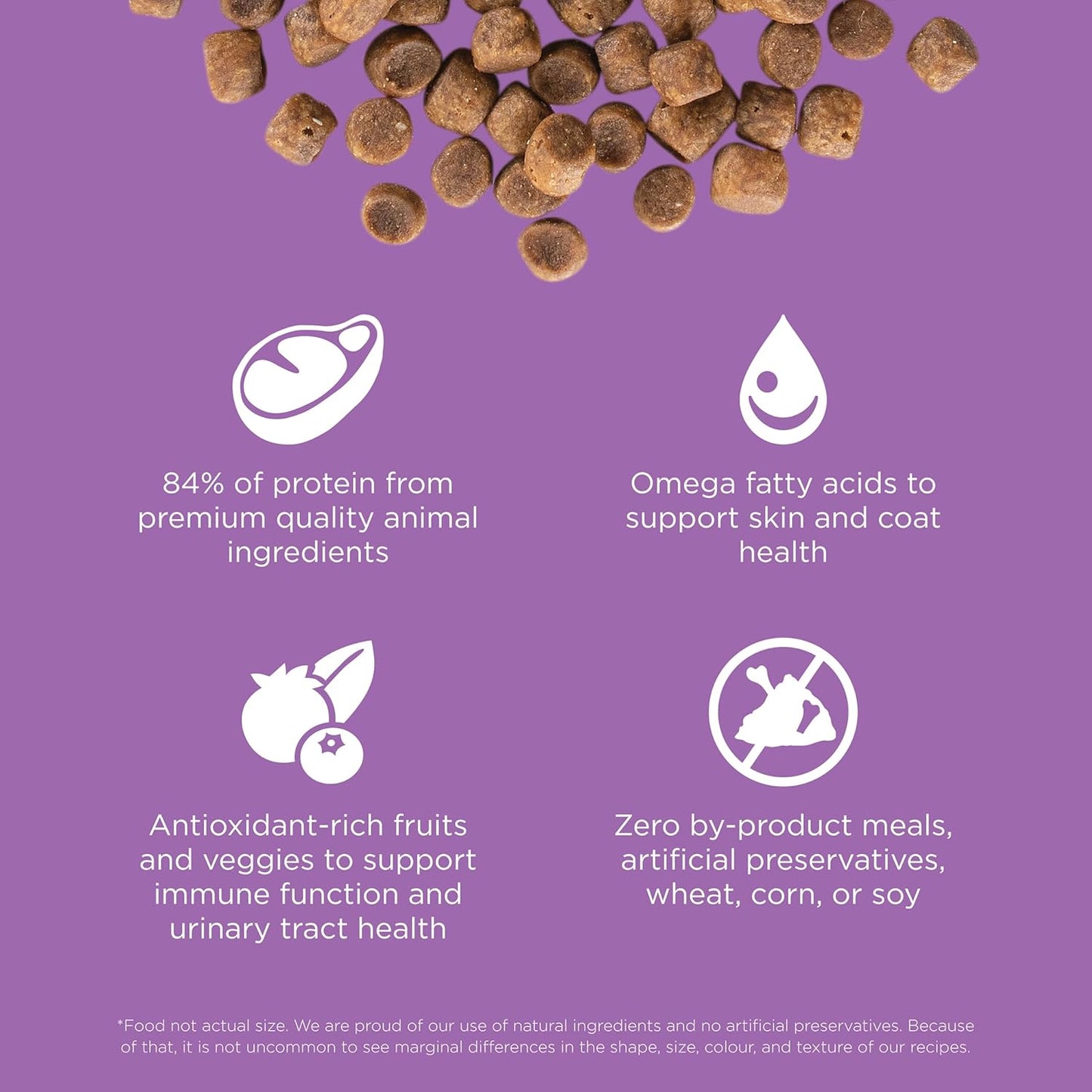 Go! Solutions Carnivore, Grain-Free, Protein Rich Dry Cat Food, Chicken, Turkey and Duck Recipe, 3 lb Bag