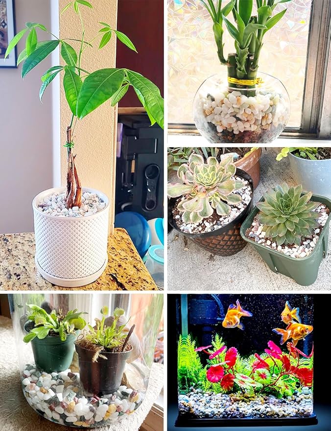 Natural Decorative Pebbles Rocks Polished Tterrarium Gravel White Stones with Red, Green, and Yellow Pastel Accents Mixed Color Aquarium Stones Garden Accessories Top Dressing for Bonsai Potted 2.2lbs