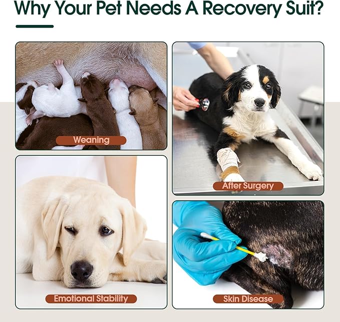 Kuoser Dog Surgery Suit Female Spay, Dog Recovery Suit Male Neuter, Puppy Clothes Onesie for Surgery Anti Licking Abdominal Wounds Pet Surgical Recovery Bodysuit Shirt, Substitute E-Collar & Cone