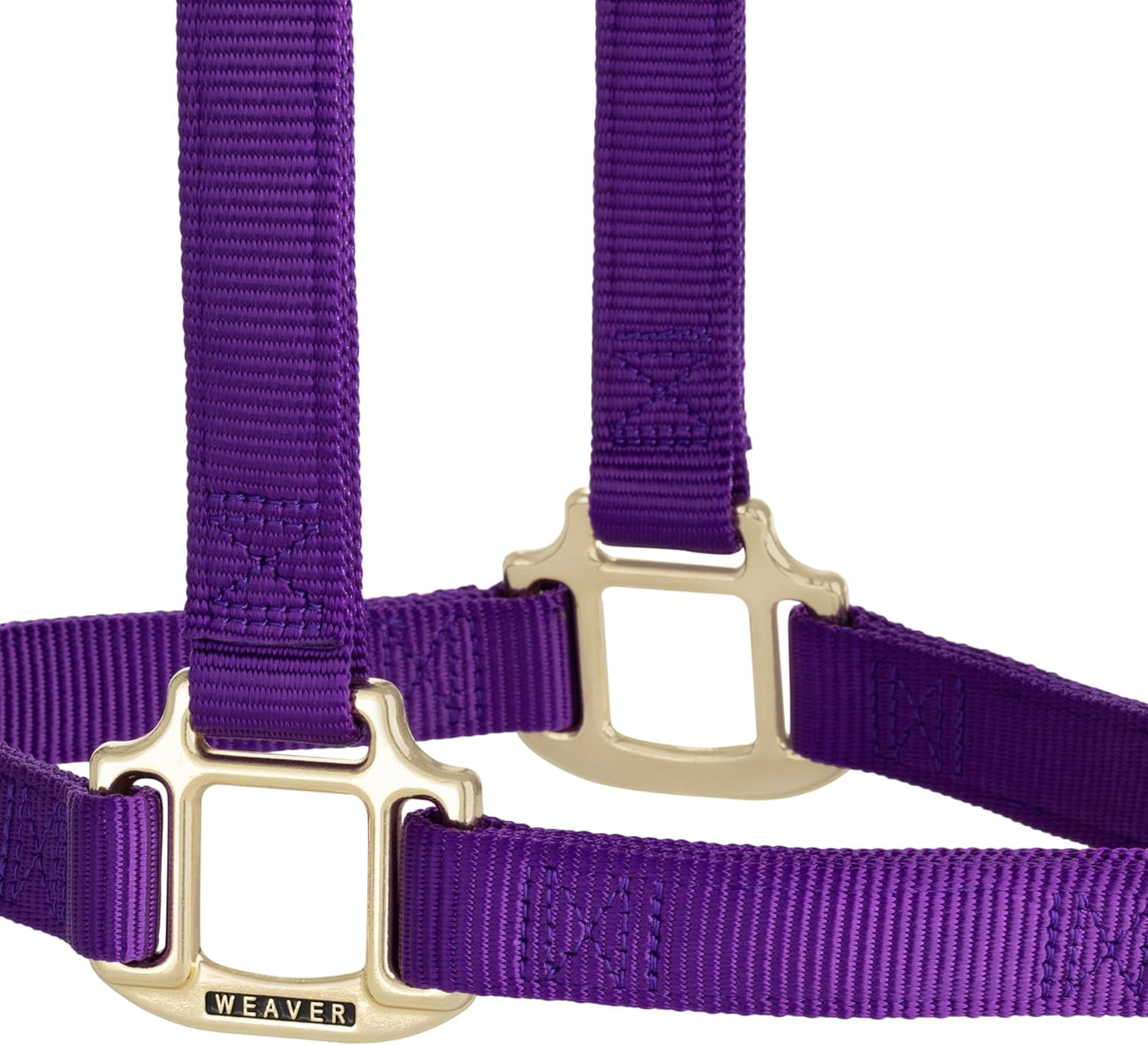 Weaver Equine Nylon Horse Halter, Triple-Ply Cheek Design, Original Non Adjustable Halters for Horses, Equine Tack,Average Size, Black