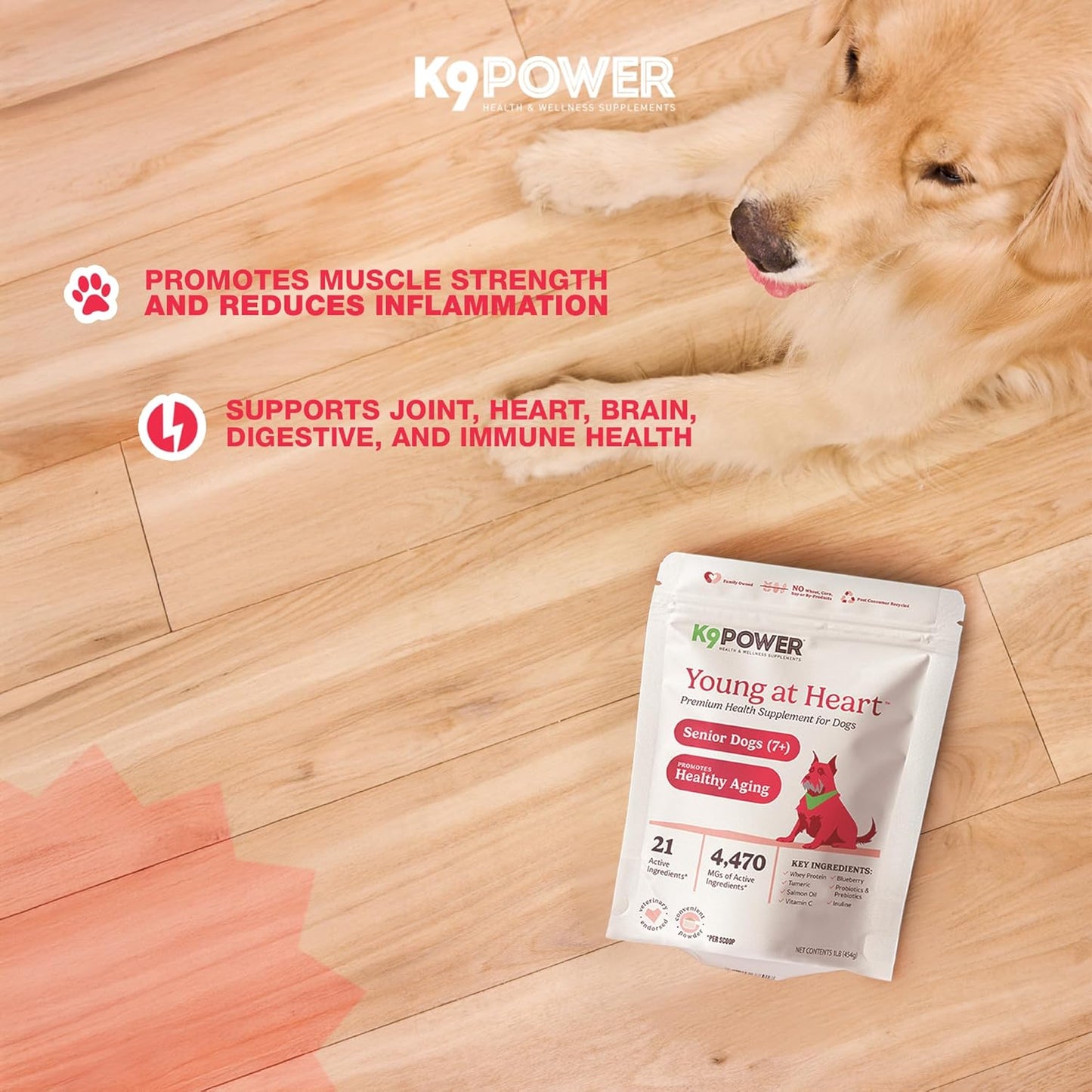 K9 Power Young at Heart Senior Dog Multivitamin 1 lb – Supplement for Brain Heart, Vision & Mobility Support in Senior Dogs - Pack of 2