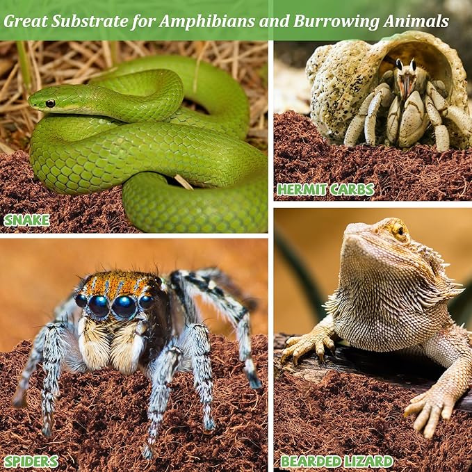 Riare 10LBS Natural Coconut Fiber Substrate for Reptile- Premium Compressed Coconut Husk Terrarium Bedding for Reptile, Tortoise, Frogs, Snakes, Hermit Crabs, Burrowing Animals