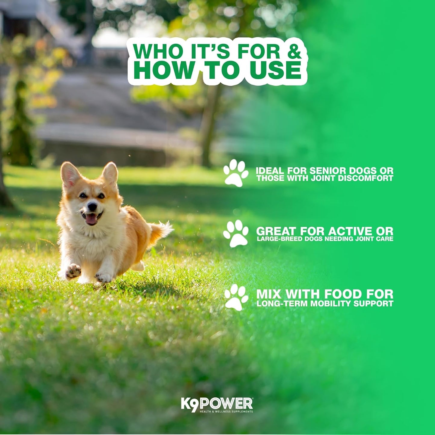 K9 Power Joint Strong Supplement 1 lb - Dog Joint Health & Mobility Support with Glucosamine, Curcumin, Chondroitin, Hip & Joint Pain Relief - Pack of 2