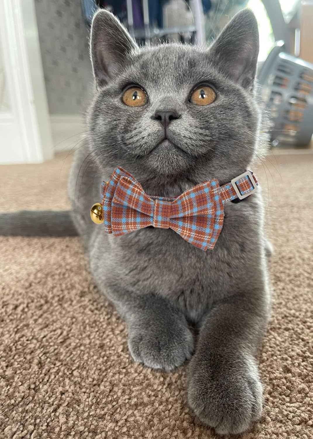 2 Pack Soft Cotton Cat Collars with Bowtie and Bell Breakaway Plaid Cat Kitten Collar(Beige and Amber)