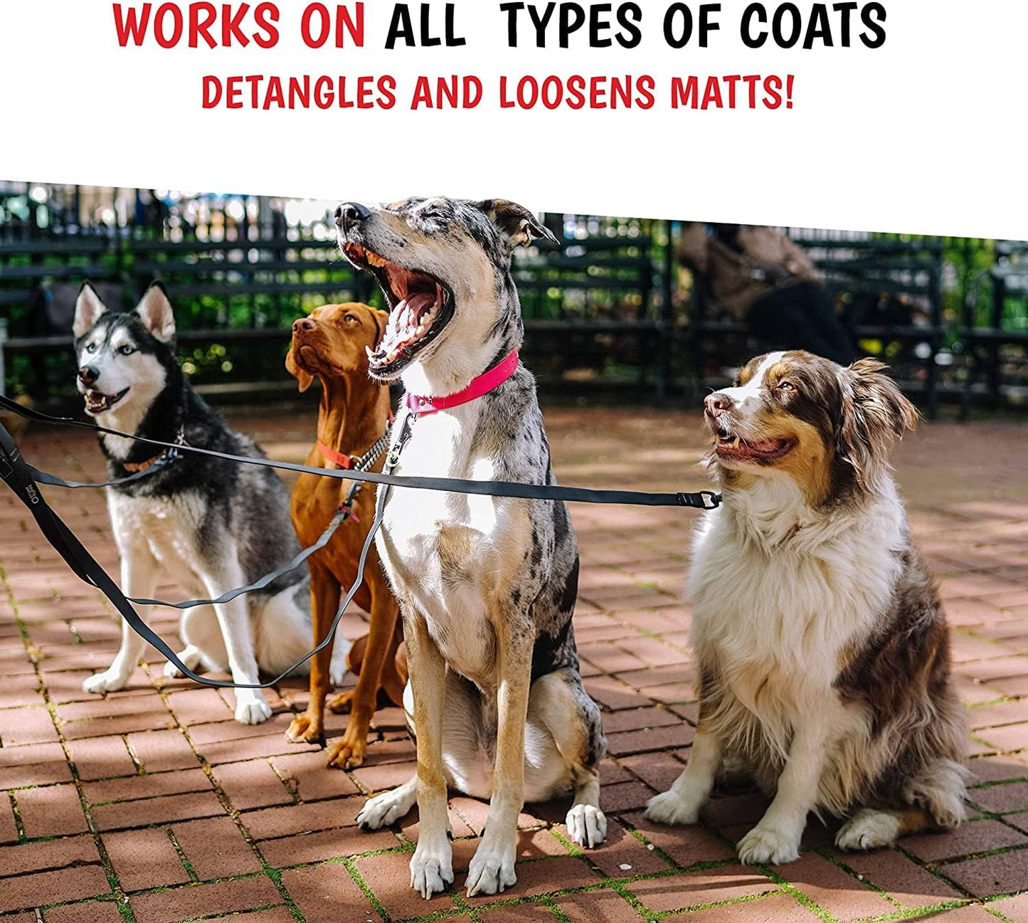 Warren London 10-in-1 After Bath Dog Spray | Dog Leave in Conditioner and Detangler | Pet Grooming Spray with Aloe Vera, Silk Amino Acids and Green Tea Extract | Made in USA | 1gal