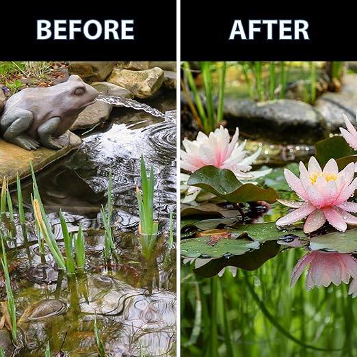 CrystalClear Thrive Aquatic Pond Plant Food, Fish Safe Water Garden Fertilizer, Nutrients Boost Lily & Lotus Flower Bloom & Root Growth, 30 Tablets