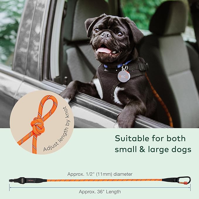 Dog Seat Belt for Car | Universal Dog Car Seatbelt | Durable Reflective Rope with Clip Hook Latch, Buckle and Carabiner- Safe and Secure Pet Safety Restraint (Orange)