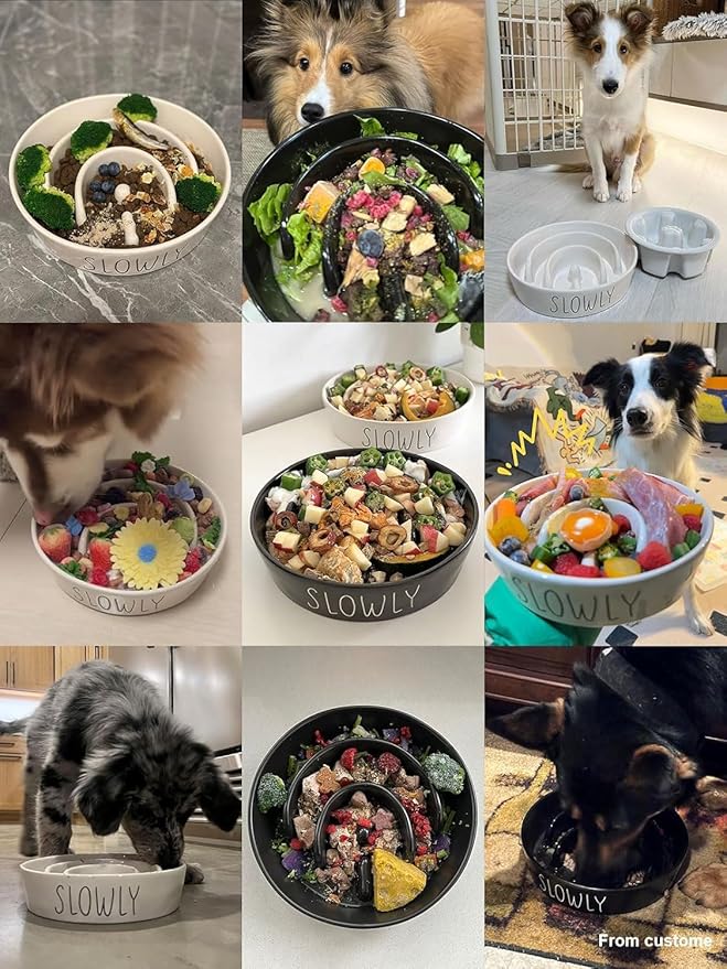 Ceramic Slow Feeder Bowl Elevated - 1.5 Cup with Wood Stand for Small & Medium Breed, Anti-Gulping, Black