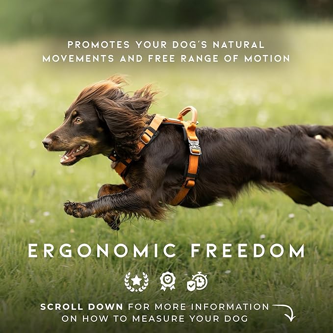 MADE TO ROAM Premium Explorer Harness - Y-Shaped Dog Harness with Adjustable Durable Nylon, Soft Padding, Metal Buckles and Leather Handle for Small, Medium, Large Dogs (Virginia Mountains, Size 7)