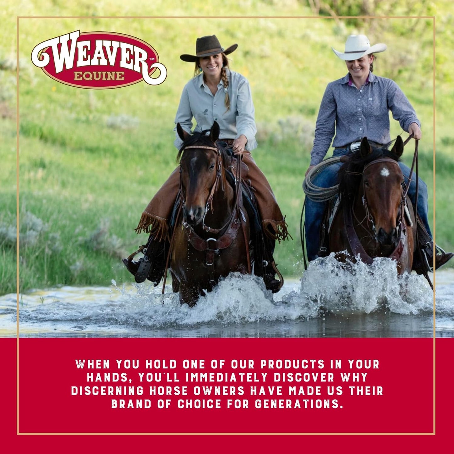 Weaver Equine Breakaway Horse Halter, Comfort Foam Padding, Adjustable Chin & Throat Snap Halters for Horses, Equine Tack,Average Size, Purple