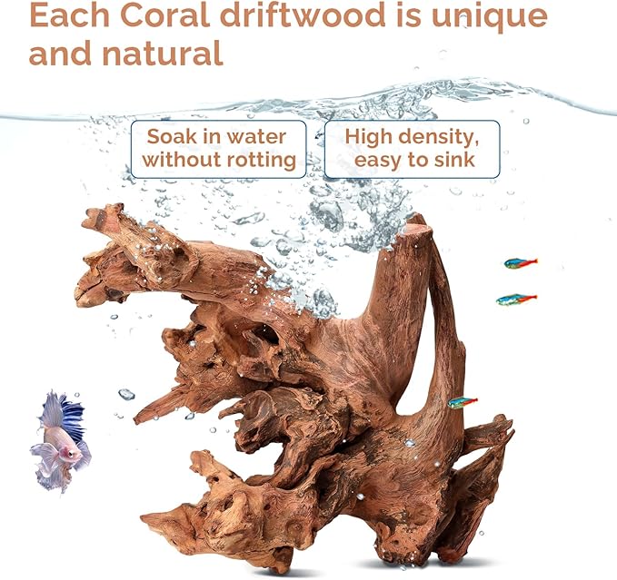 Natural Driftwood for Aquarium 12"-16" Large Aquarium Coral Wood Decor | Single Piece for Fish Tank Landscaping, Reptile Terrarium Climbing Branch, Freshwater Aquatic Wood Aquascaping