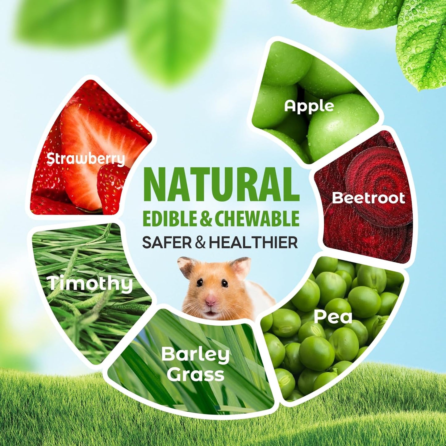 TEEWY Guinea Pig Chew Toys, Prevent Teeth Overgrowth, Natural Vegetables and Timothy Grass, Hamster Chew Toys, Chinchillas, Gerbils, Ha, Rabbit Rodents Teeth Care, Fruits & Vegetables & Basket Set