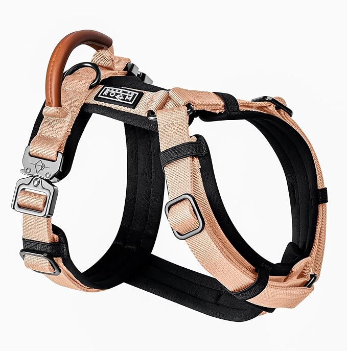 MADE TO ROAM Premium Explorer Harness - Y-Shaped Dog Harness with Adjustable Durable Nylon, Soft Padding, Metal Buckles and Leather Handle for Small, Medium, Large Dogs (Carolina Blooms, Size 2)