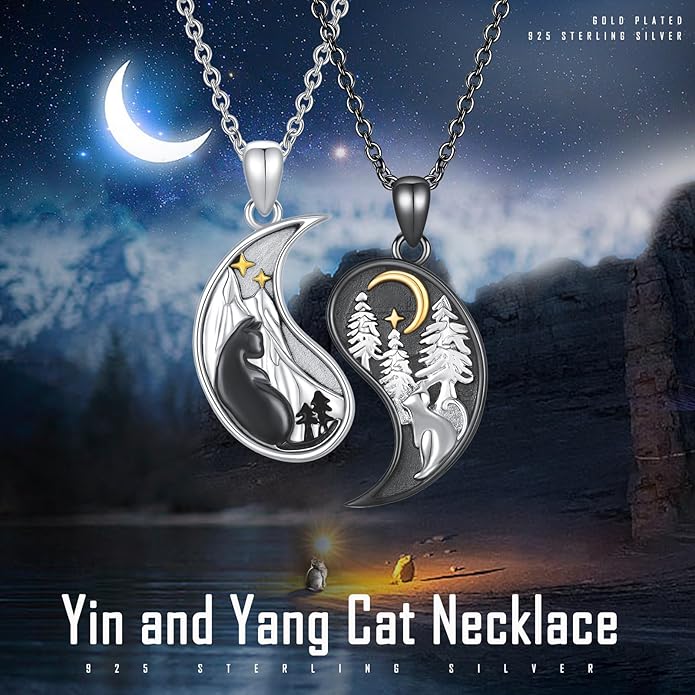 Yin Yang Matching Jewelry Set 925 Sterling Silver Yin Yang Friendship Couples BFF Pendant Necklace Jewelry for Her Him Women Men