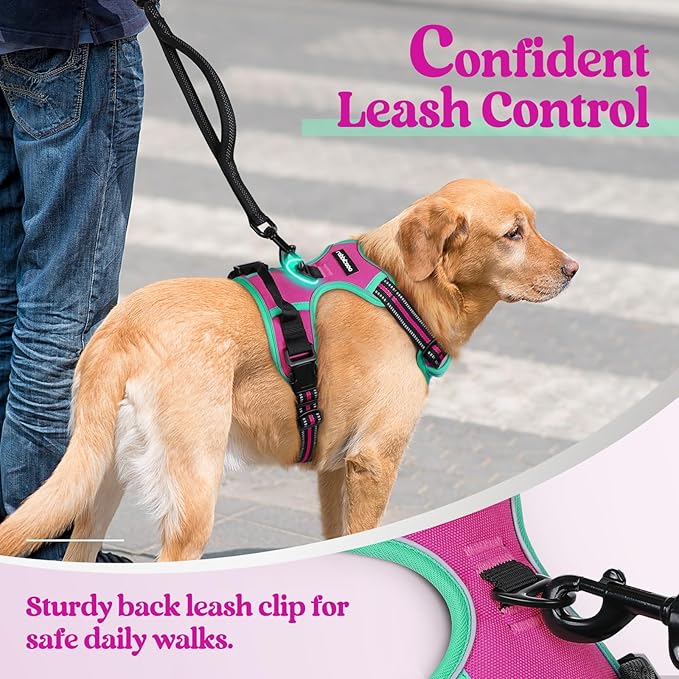 rabbitgoo Dog Harness No Pull with 2 Leash Clips, Adjustable Soft Padded, Reflective Oxford No Choke Pet Vest with Easy Control Handle for Large Dogs, Hot Pink & Turquoise, S
