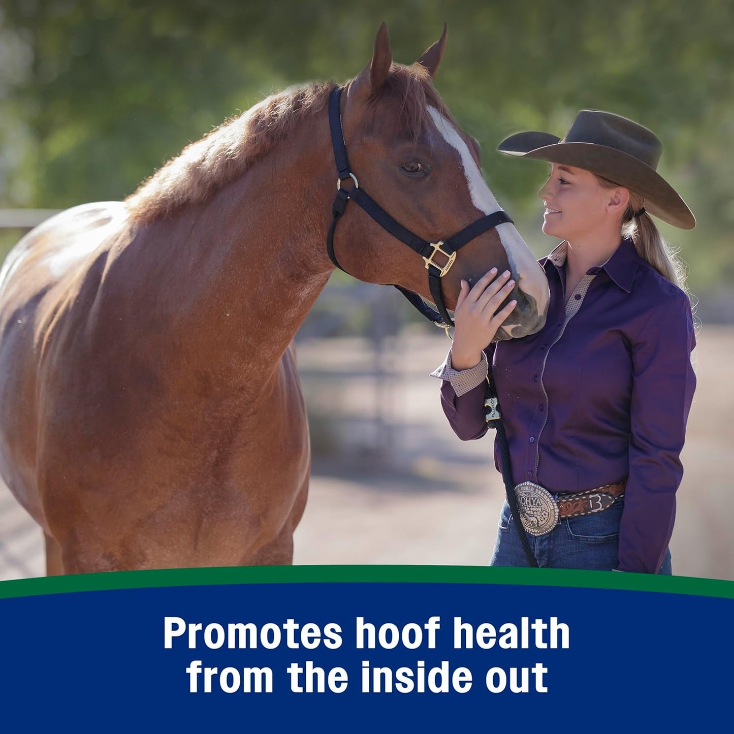 Farnam Horseshoer's Secret Pelleted Hoof Supplement for horses promotes healthy hoof growth, 22 lb., 60 day supply