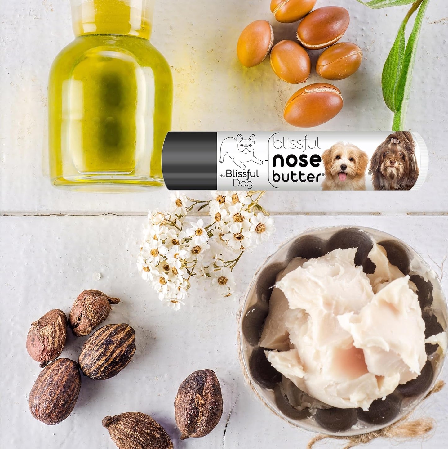 The Blissful Dog Havanese Unscented Nose Butter - Dog Nose Butter, 0.15 Ounce